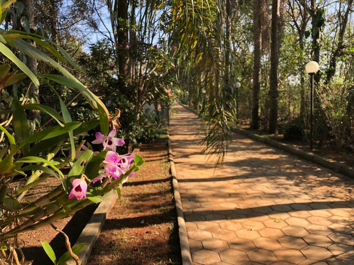 Chacara Quinta Dos Esquilos Villa Cotia  Exterior foto